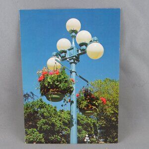 Vintage Postcard - Flower Baskets Victoria Canada - Wright Everytime